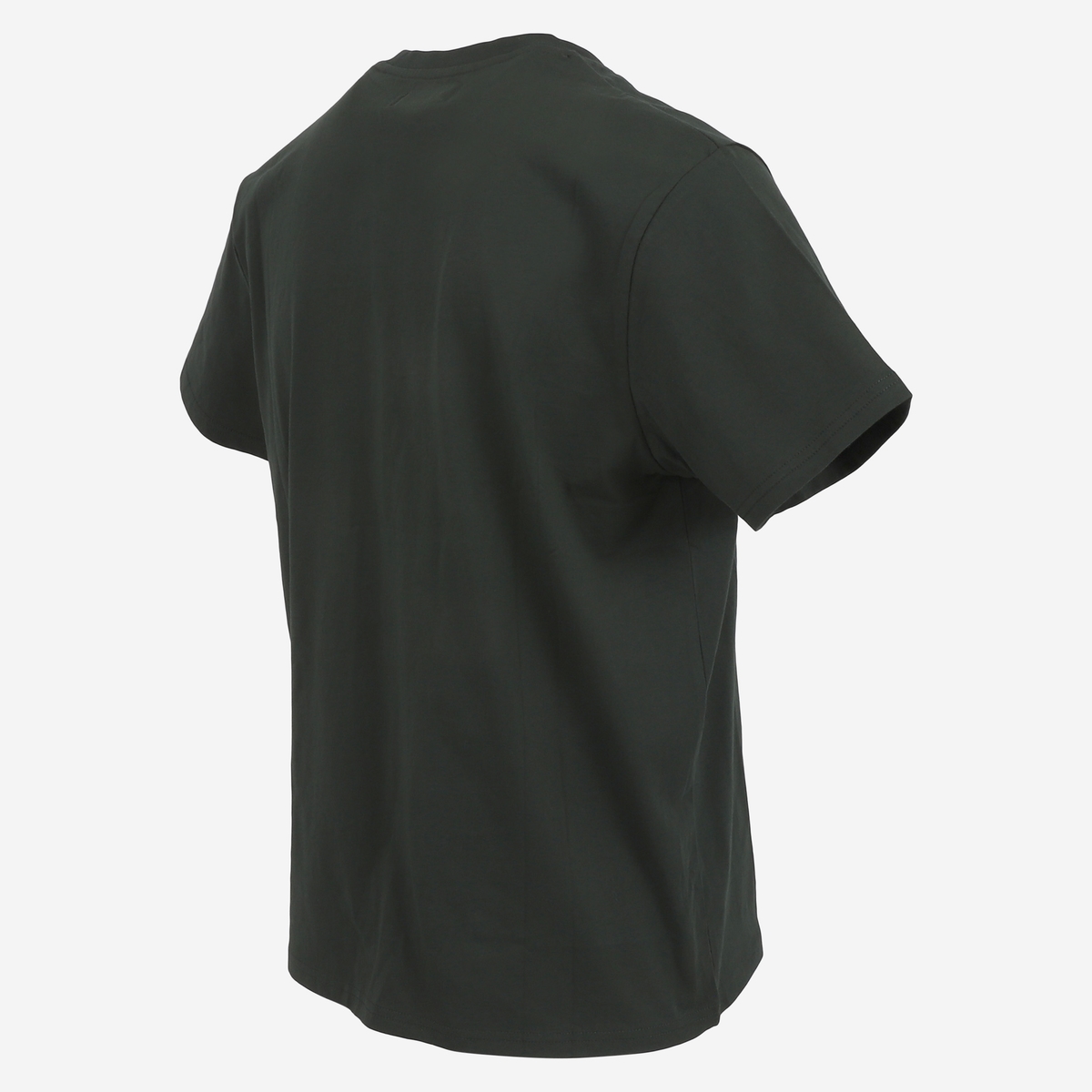 nori-t-shirt-for-iceland-dark-green_303.jpeg